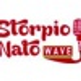 Infonews a Manetta