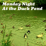 Monday Night - At the Duck Pond 009 Wizkid - Stephan Lechner - Andreas Punz 2015_02_02
