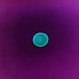 ekstasis