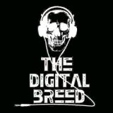 The Digital Breed-Just Having Some Fun