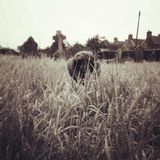 The Temple of Algolagnia - Funeral podcast