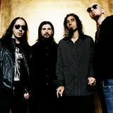 Pola sata - System of a down
