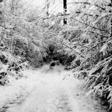 Winter 2015 Mix