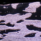 PAIX HAUT BAIE EAUX FM 01