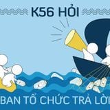 K56 hỏi - BTC trả lời