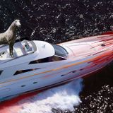 Bonehorse 27