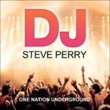 STEVE PERRY LIVE SUNDAY AFTERNOON FACED PARTY