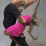 Rhumba Nonstop