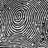 Gai Barone - Patterns 008