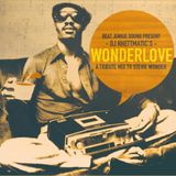 DJ Rhettmatic - Wonderlove: A Tribute Mix To Stevie Wonder