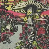 El Puaka - Hugos 19 - Straight - 2015