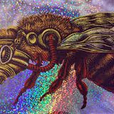 +++BEATS BEES LIKE FOR B-BOYS AND B-GIRLS+++