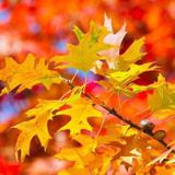buntes Treiben