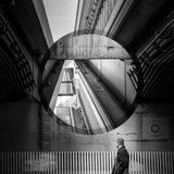 Metropolis