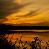 Amber Sky