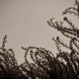 Voyage mix