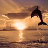 KD3 - Sunrise Mix (2015 Promo Part 1)