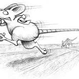 The Rat Race Set 1.0