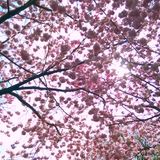 HEY 03/15 MIX