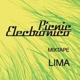 Picnic Electrónico Mixtape