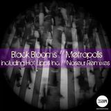 Metropolis