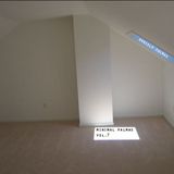 Minimal Palmas Vol.7