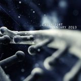 Lab Report January 2013