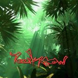 Light in the Jungle Vol.3 ( Jazzy Liquid session)