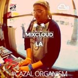 Mixcloud in LA #02: Cazal Organism