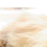 abby lee tee - unsettled summer_mix