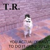 T.R. - YOU ACTUALLY HAVE TO DO IT (JUNE 2012)