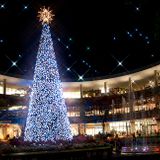 Christmas Time Is Here