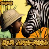 capt3 - sum afromood