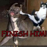 finish him! friday"stern"sessions #21