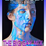 THE BIG GAY MIX