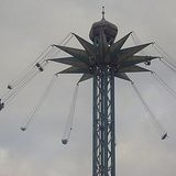 The swings
