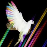 Skream Warehouse Project Mix - 2011