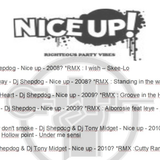 FOCUS NiceUp! Records (2011)