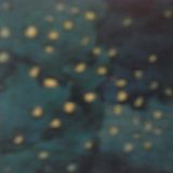 Aural Bisquits - 2013.12.2