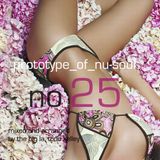 Prototype of Nu-Soul 25