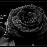 BLACK ROSE No.334 5-1-2013