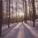 DJ TEN White winter MIX