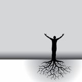 Roots