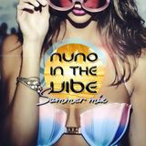 Nuno In The Vibe SP ~Summer Mix~ (House/Samba/Nu-Disco/Reggae)