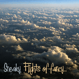 Flights of Fancy