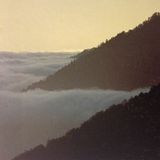 Reverberation #37