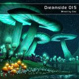 Dreamside 015