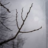 Tristesse d'Automne
