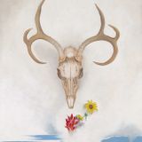 Summer Solstice 2014