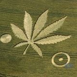 the Crop Circle in my marijuana field Alexandre Mantovan dj set july 2012